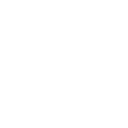 dolphin-2-256